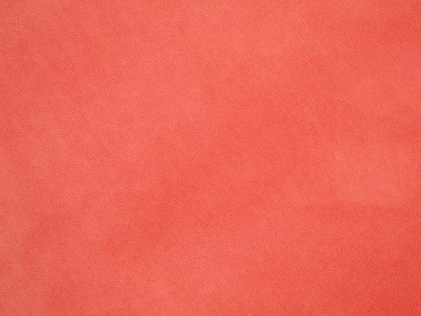 Image 1 Coral