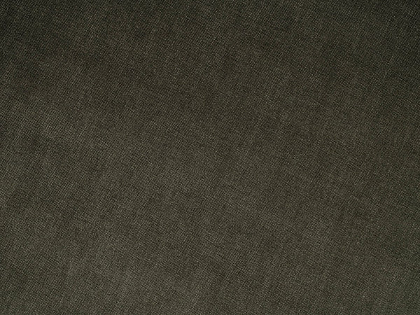 Image 1 Spruce